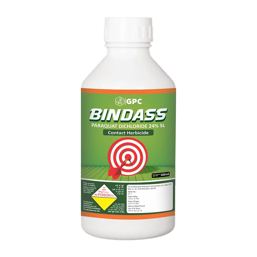 BINDASS 500ML